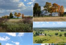 Modern Colonial Farmhouse Set on 18.9 Acres Featuring Stunning Catskill Mountain Views and Spacious Country Living