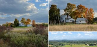 Modern Colonial Farmhouse Set on 18.9 Acres Featuring Stunning Catskill Mountain Views and Spacious Country Living