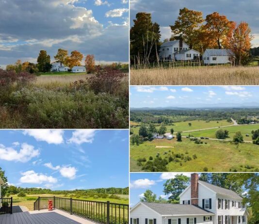 Modern Colonial Farmhouse Set on 18.9 Acres Featuring Stunning Catskill Mountain Views and Spacious Country Living