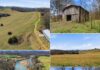 Expansive 98-Acre Property Offering Wide-Open Land, Natural Beauty & Exceptional Investment or Recreational Potential