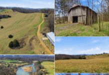 Expansive 98-Acre Property Offering Wide-Open Land, Natural Beauty & Exceptional Investment or Recreational Potential