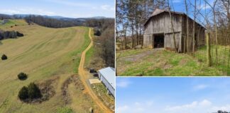 Expansive 98-Acre Property Offering Wide-Open Land, Natural Beauty & Exceptional Investment or Recreational Potential