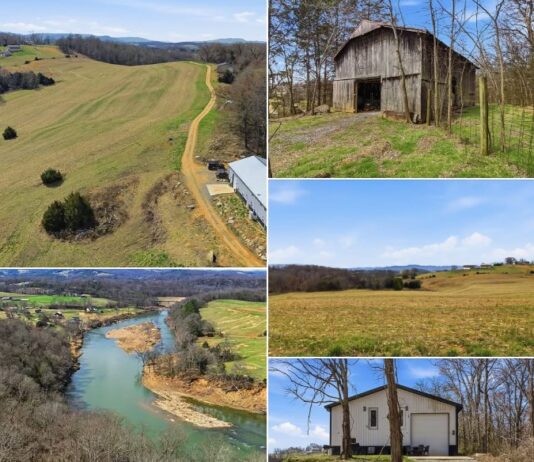 Expansive 98-Acre Property Offering Wide-Open Land, Natural Beauty & Exceptional Investment or Recreational Potential