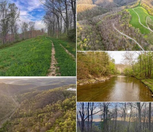 Secluded Mountain Acreage with Stream and Scenic Views in West Virginia