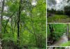 Expansive Property Near Hal Rogers Parkway Offering Endless Potential for Development, Investment, or Recreation