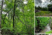 Expansive Property Near Hal Rogers Parkway Offering Endless Potential for Development, Investment, or Recreation