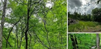 Expansive Property Near Hal Rogers Parkway Offering Endless Potential for Development, Investment, or Recreation