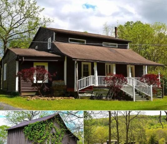 Rustic Retreat! Over Seven Acres in West Virginia — Big Getaway Potential for $169K