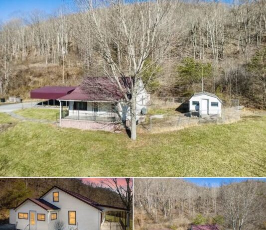Affordable 3-Bedroom Cottage on 16 Acres – $112.5K