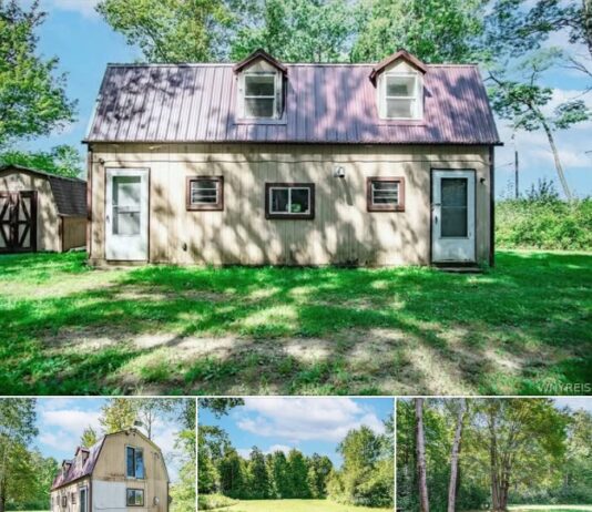 Rustic Cabin Retreat on 10 Acres in Mayville, New York Offers the Perfect Escape for Outdoor Living