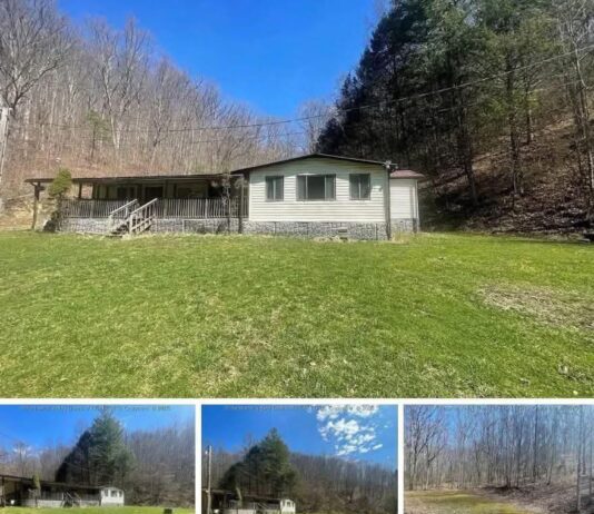 Roomy 3-Bedroom Home Set on 21 Acres in Alkol, WV