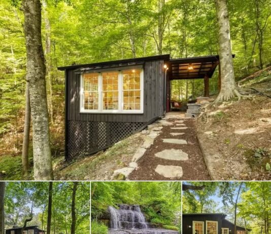 Hidden Lakeside Sanctuary in Tennessee: Inside the Rare Idlehour Cabin Compound Near Nashville – Price cut: $60K