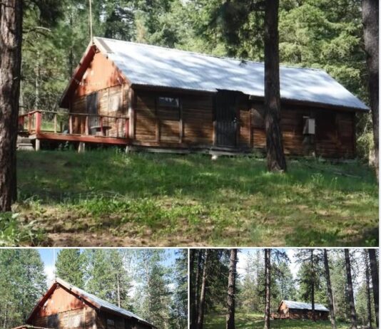 Nature Lover’s Off-Grid Cabin — Peaceful & Private