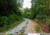 Remote Off-Grid Hunting Retreat on 89 Acres in Eastern Kentucky