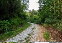 Remote Off-Grid Hunting Retreat on 89 Acres in Eastern Kentucky