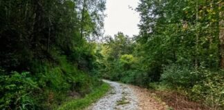 Remote Off-Grid Hunting Retreat on 89 Acres in Eastern Kentucky
