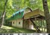 Handcrafted Off-Grid Cabin on 11.8 Acres Offers a Rare Escape Into the Woods of Richburg, New York