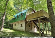 Handcrafted Off-Grid Cabin on 11.8 Acres Offers a Rare Escape Into the Woods of Richburg, New York