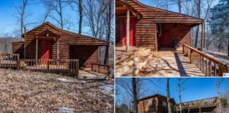 Secluded 20-Acre Hunting Cabin Retreat in Munfordville, Kentucky – Move-In Ready Escape for $139K