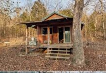Off-Grid Homestead Dream with Endless Potential for Self-Sufficient Living