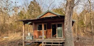 Off-Grid Homestead Dream with Endless Potential for Self-Sufficient Living