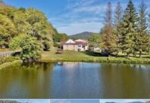 11.5-Acre Recreational Haven Featuring Two Beautiful Homes, a Private Pond, Flowing Stream & Endless Outdoor Potential Near the Greenbrier River