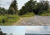Scenic 58.11-Acre Retreat with Unlimited Possibilities
