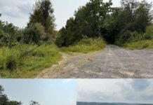 Scenic 58.11-Acre Retreat with Unlimited Possibilities