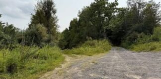 Scenic 58.11-Acre Retreat with Unlimited Possibilities
