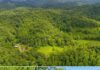 18.5-Acre Kentucky Wilderness Retreat