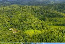 18.5-Acre Kentucky Wilderness Retreat