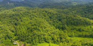 18.5-Acre Kentucky Wilderness Retreat