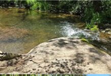 Prime 683-Acre Investment & Development Land in Virginia