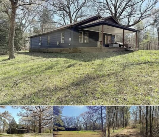 Secluded 3-Bedroom Home on 8 Acres