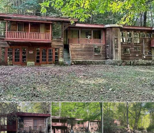 Creekside Mountain Investment Opportunity –$90,000