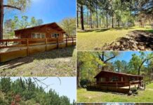 Build Your Dream on This Picturesque 5-Acre Property
