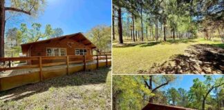 Build Your Dream on This Picturesque 5-Acre Property