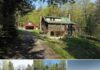 Updated Log Home Nestled in a Serene Natural Setting