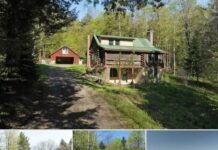 Updated Log Home Nestled in a Serene Natural Setting
