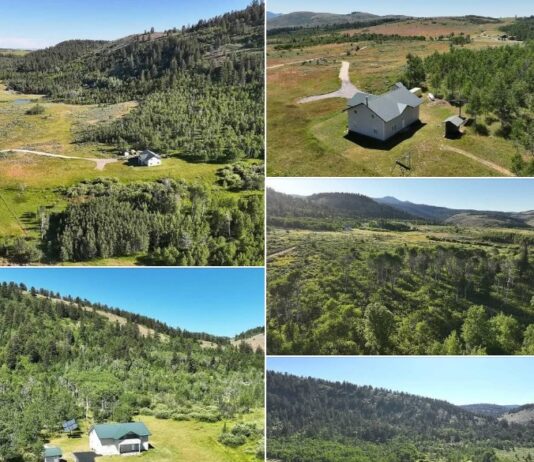 Tranquil Mountain Escape for Relaxation and Adventure