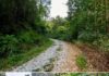 89-Acre Eastern Kentucky Hunting Haven with Ultimate Seclusion