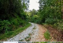 89-Acre Eastern Kentucky Hunting Haven with Ultimate Seclusion