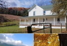 The view! Move in ready house! Circa 1890 in Virginia.