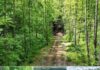 Secluded 121-Acre Off-Grid Retreat in Nature