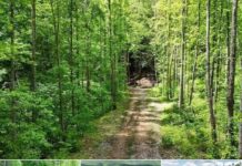 Secluded 121-Acre Off-Grid Retreat in Nature