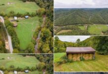 Hunter’s Paradise on 77+ Acres with Year-Round Creek