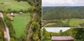Hunter’s Paradise on 77+ Acres with Year-Round Creek