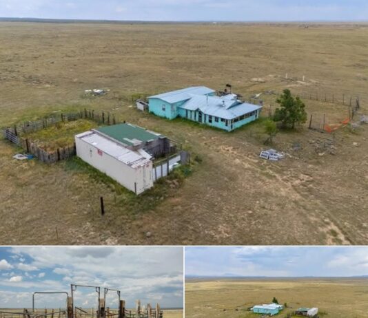107-Acre Off-Grid Hunting Retreat