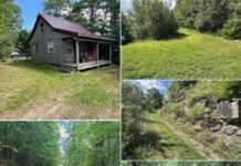 96.64 Acres with Cabin in Alma, New York