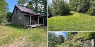 96.64 Acres with Cabin in Alma, New York